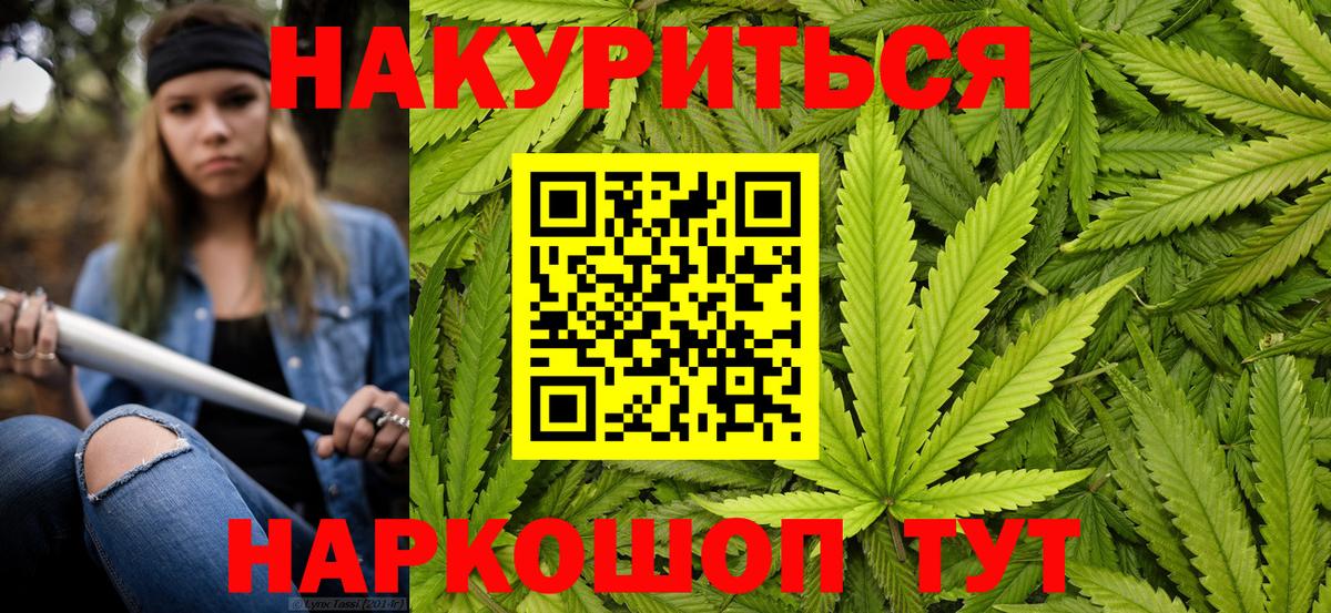 Каннабис сатива Сокол